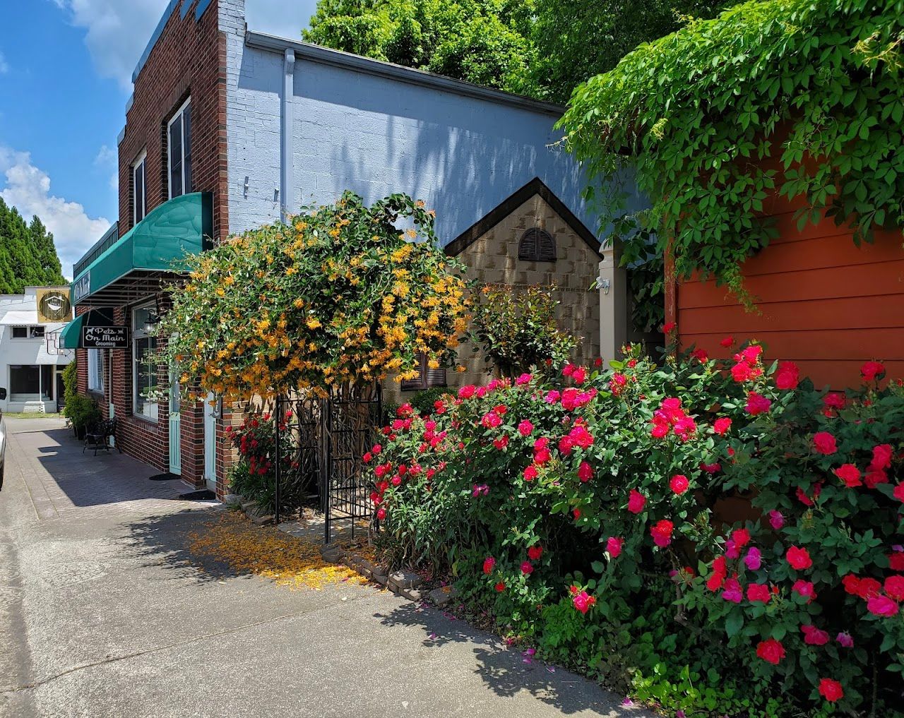 Photo of Overlook at Ellijay. Affordable housing located at 168 Courier St Ellijay, GA 30540