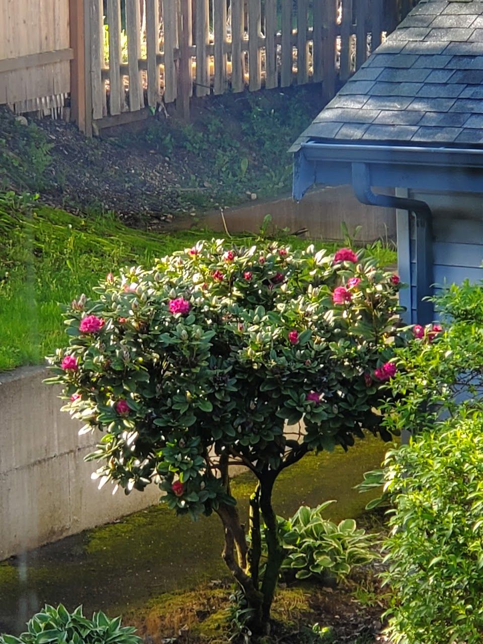 Photo of Cascade Apartments. Affordable housing located at 106 W Wallace St Granite Falls, WA 98252