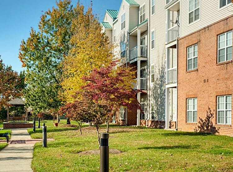 Photo of LAUREL LAKES SENIOR HOUSING. Affordable housing located at 7901 LAUREL LAKES CT LAUREL, MD 20707