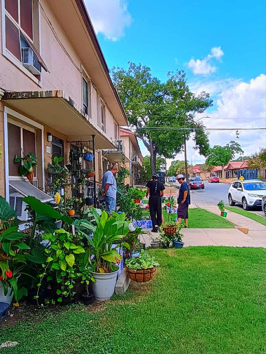 Photo of Alazan Apache Courts at 1011 S Brazos St San Antonio, TX 78207