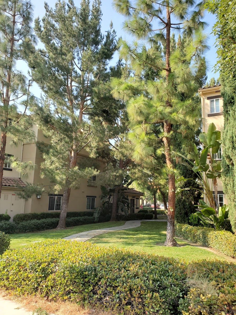 Photo of MONTECITO VISTA APT HOMES at 4000 EL CAMINO REAL IRVINE, CA 92602