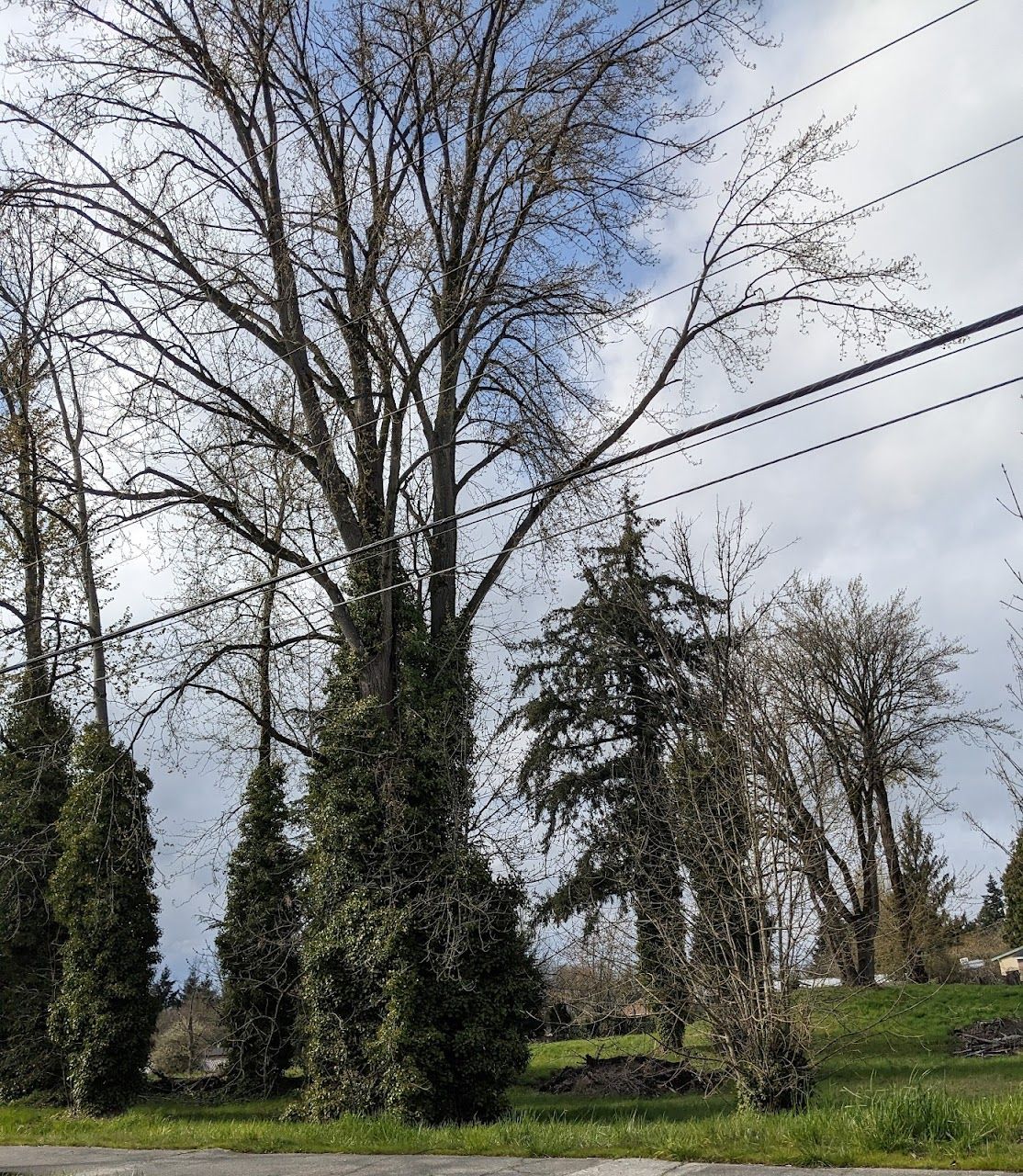 Photo of ANGLE LAKE COURT. Affordable housing located at 4010 SOUTH 188TH STREET SEATAC, WA 98188