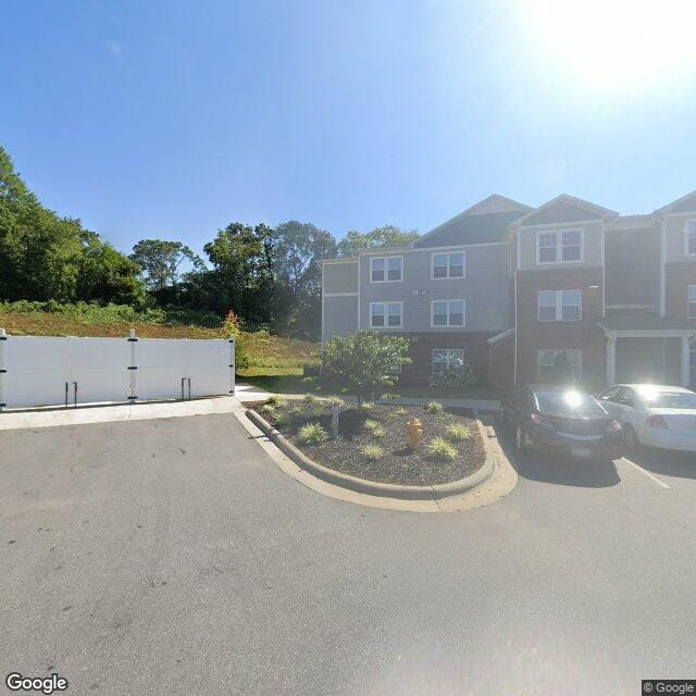 Photo of JASPER at 216 HABIBI LANE SWANNANOA, NC 28778