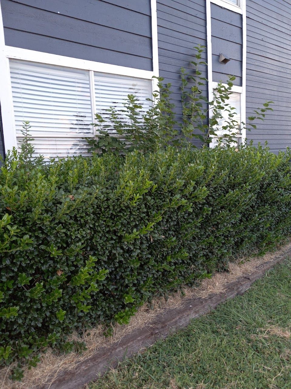 Photo of Meadows at Ferguson at 11760 Ferguson Rd Dallas, TX 75228