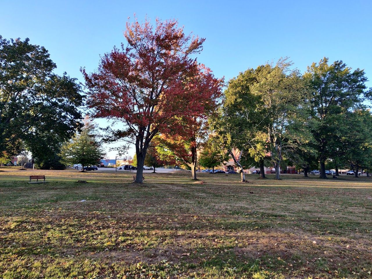 Photo of BRICK HILL COTTAGES. Affordable housing located at 1 RED OAK DR SOUTH PORTLAND, ME 04106