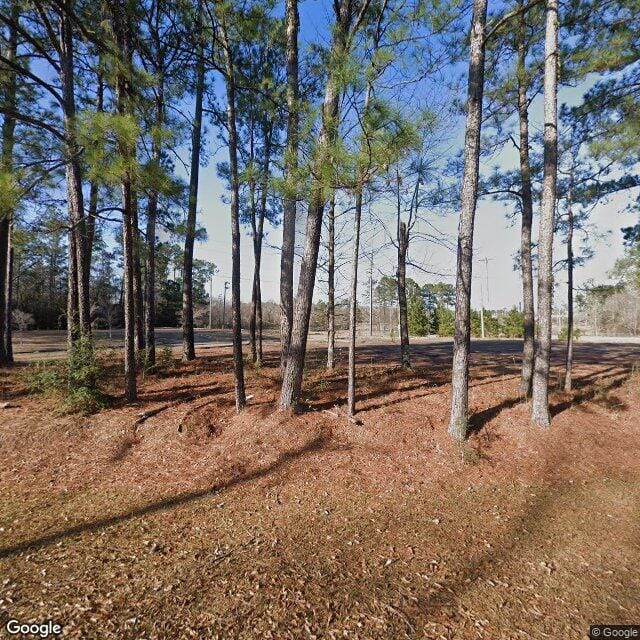 Photo of PINE HAVEN ESTATES III at 557 HELVESTON RD HATTIESBURG, MS 39401