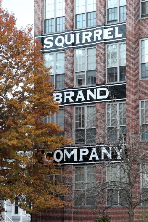 Photo of SQUIRREL BRAND APTS at 17 BOARDMAN ST CAMBRIDGE, MA 02139