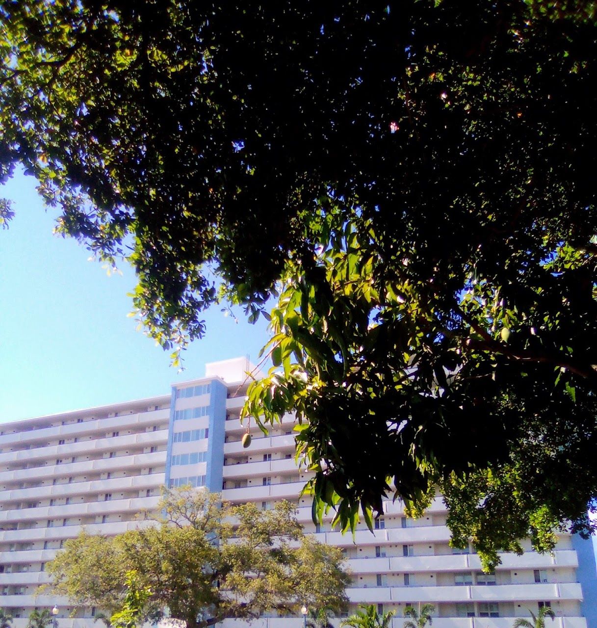 Photo of McCown Towers Apartments at 1300 Boulevard Of The Arts St Sarasota, FL 34236