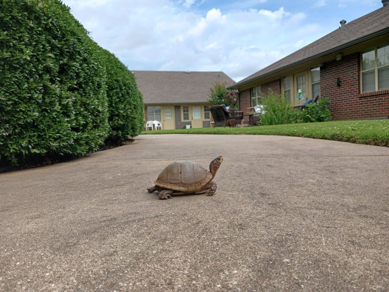 Photo of Wesley Village at 2800 Loy Lake Rd Denison, TX 75020