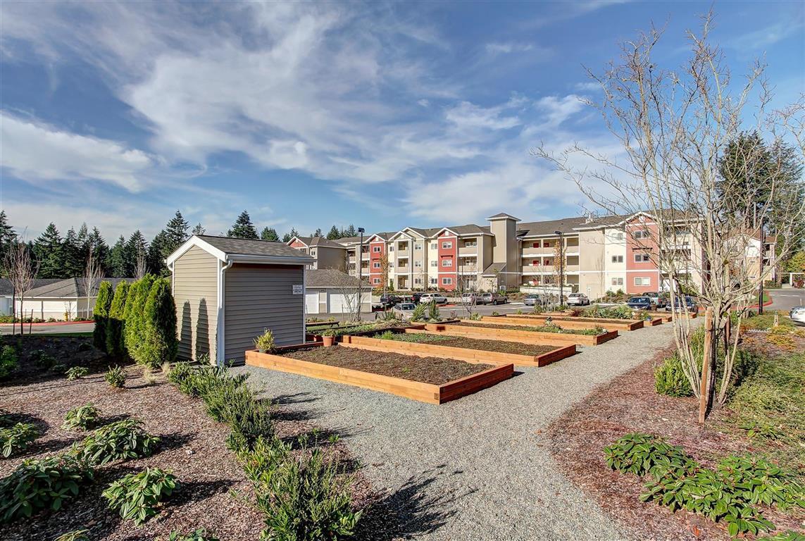Photo of OLYMPIA VISTA APARTMENTS. Affordable housing located at 3600 FORESTBROOKE WAY SW OLYMPIA, WA 98502