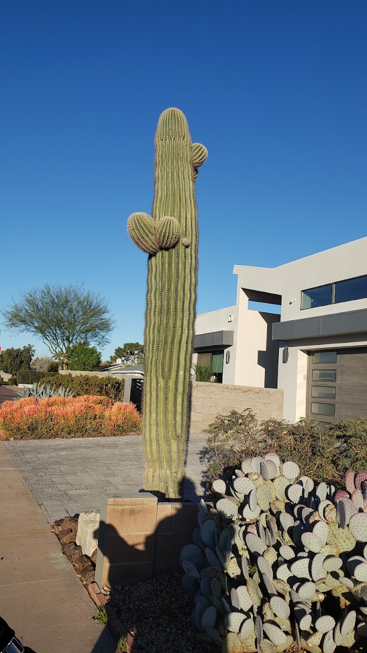 Photo of Scottsdale Housing Agency. Affordable housing located at Paiute Neighborhood Center #8 SCOTTSDALE, AZ 85251