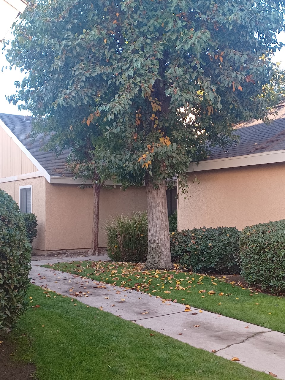 Photo of FRESNO ARMS APTS. Affordable housing located at 2264 N MARKS AVE FRESNO, CA 93722