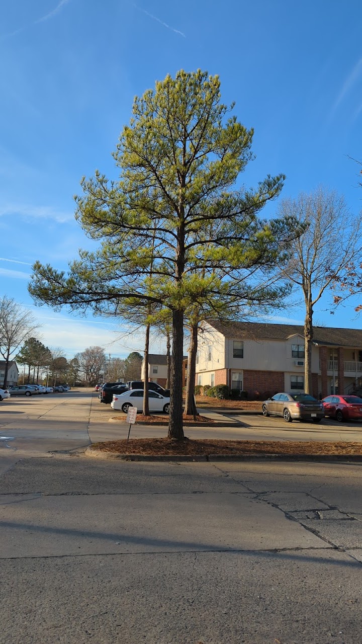 Photo of SALEM PARK APTS. Affordable housing located at 2840 DAVE WARD DR CONWAY, AR 72034