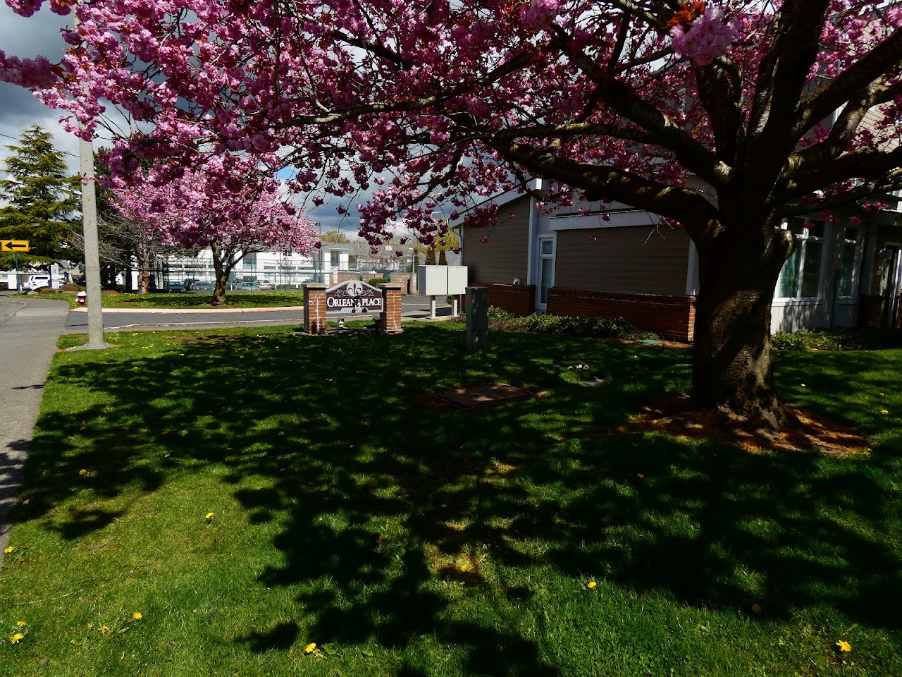 Photo of ORLEANS PLACE. Affordable housing located at 3220 ORLEANS PLACE BELLINGHAM, WA 98226