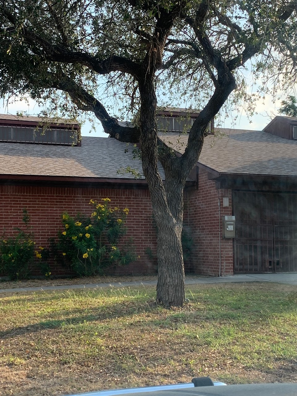 Photo of Robstown Housing Authority at 625 W AVENUE F ROBSTOWN, TX 78380