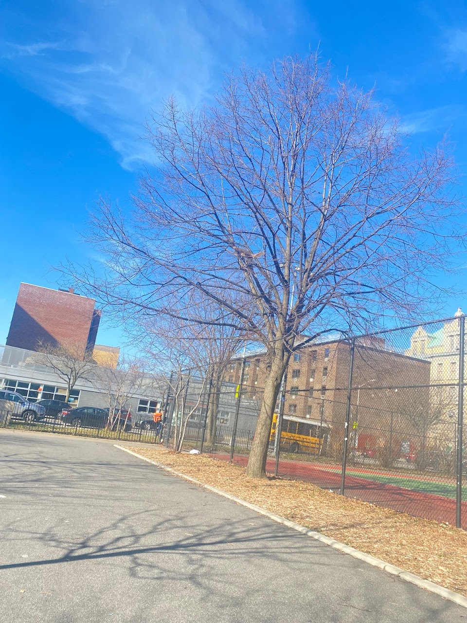 Photo of ST MARY'S PARK. Affordable housing located at 550 CAULDWELL AVE BRONX, NY 10455