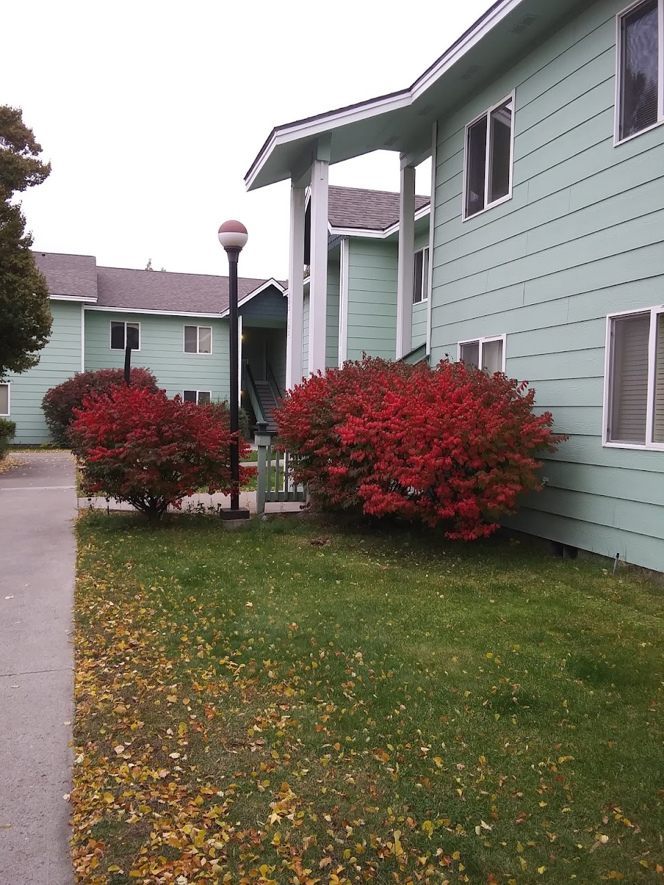 Photo of WHISPERING RIVERS APARTMENTS. Affordable housing located at 209 CANYON ST TWISP, WA 98856