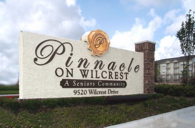 Photo of THE PINNACLE ON WILCREST. Affordable housing located at 9520 WILCREST DR HOUSTON, TX 77099