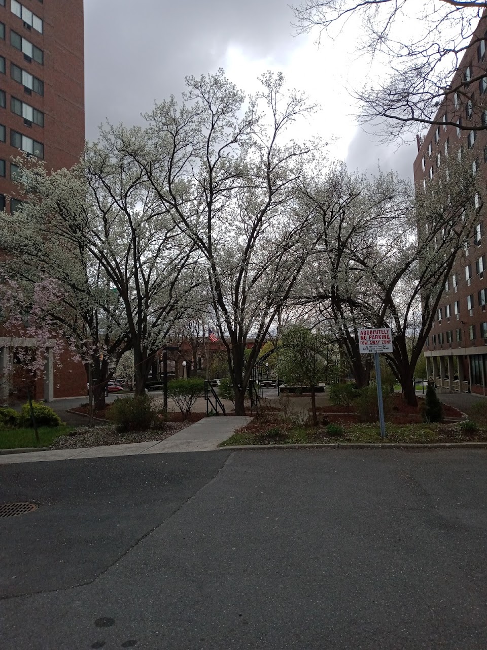 Photo of SOUTH MALL TOWERS. Affordable housing located at 99 S PEARL ST ALBANY, NY 12207