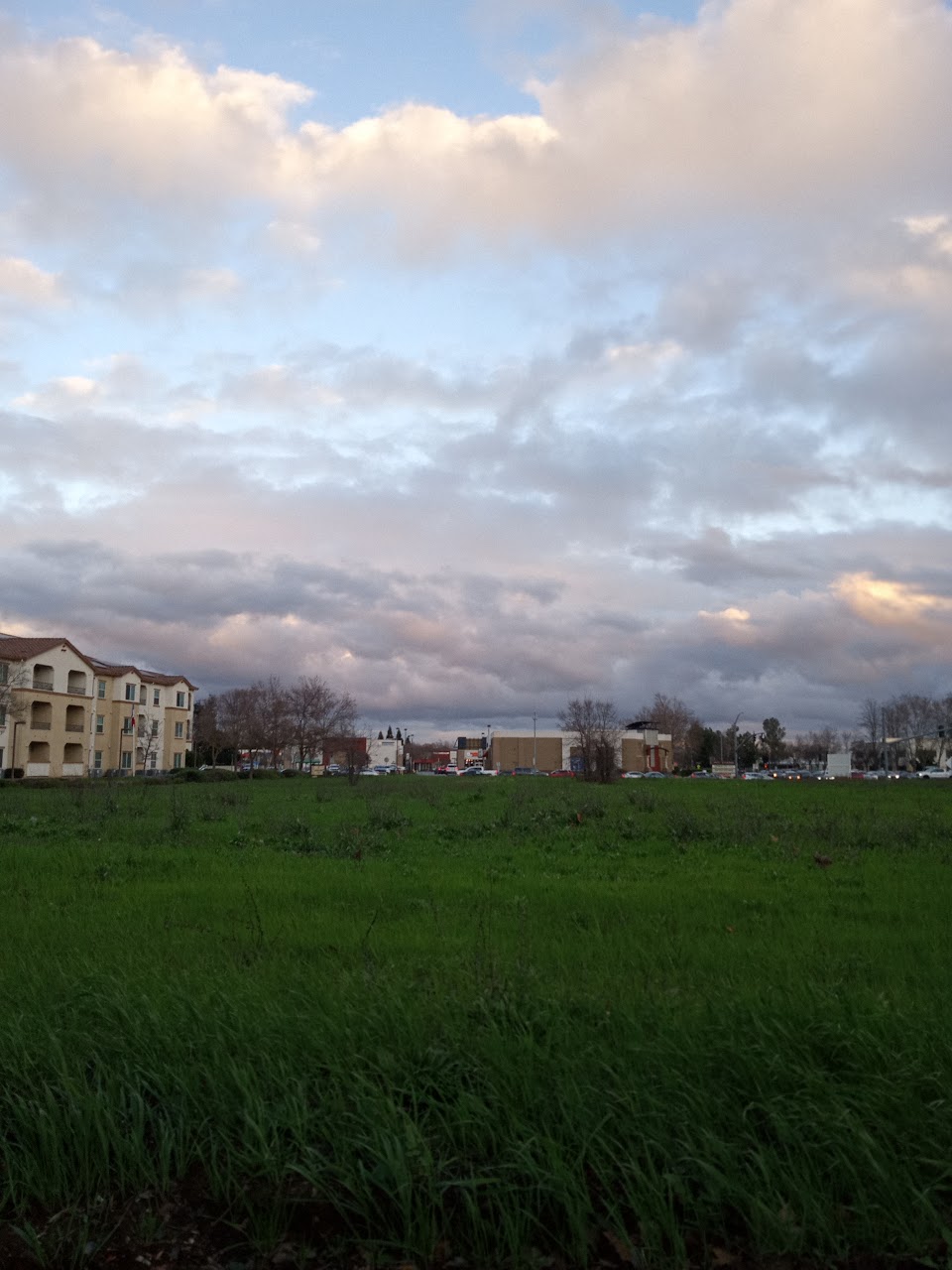Photo of VINTAGE AT LAGUNA SENIOR APTS II. Affordable housing located at 9204 BIG HORN BLVD ELK GROVE, CA 95758