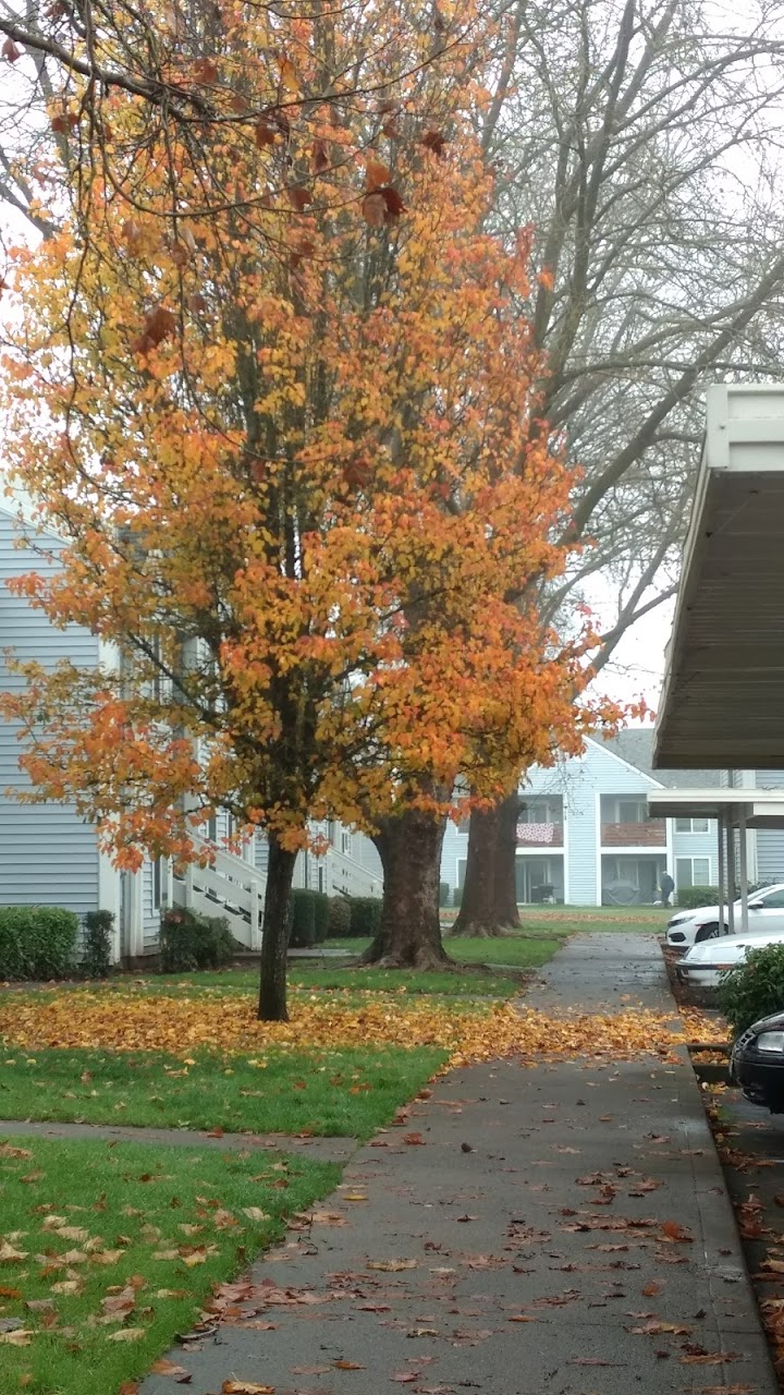 Photo of AUTUMN PARK. Affordable housing located at 10900 SW WILSONVILLE RD WILSONVILLE, OR 97070