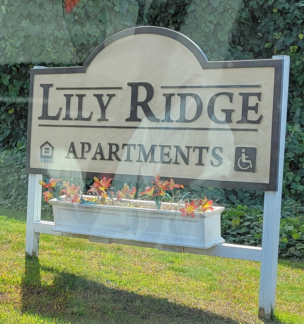 Photo of LILY RIDGE. Affordable housing located at BUCK DRIVE EXTENSION RUCKERSVILLE, VA 22968