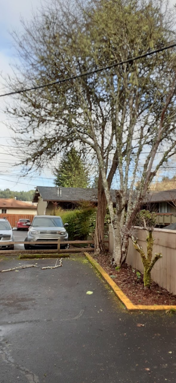Photo of FOREST HILLS MANOR at 2655 FRONTAGE RD REEDSPORT, OR 97467
