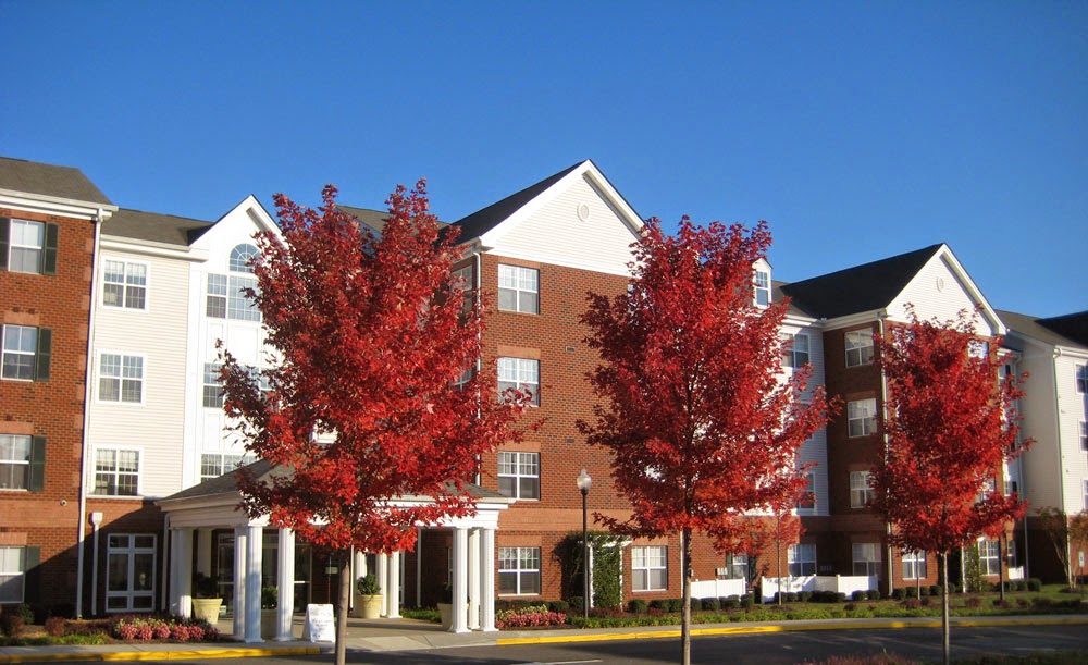 Photo of CHESTER VILLAGE GREEN. Affordable housing located at 11701 CHESTER VILLAGE DR CHESTER, VA 23831